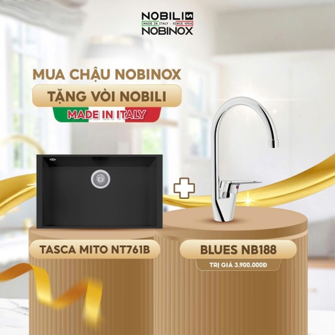 Chậu rửa bát NoBiNox NT761B