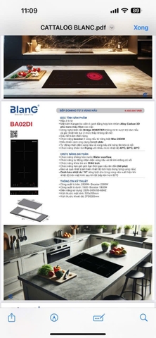 Bếp Từ Domino BLANC BA02ID