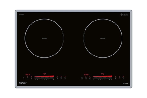 Bếp từ đôi Fandi FD-223GF