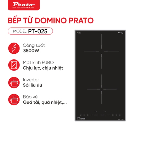 Bếp từ Domino Prato PT-025