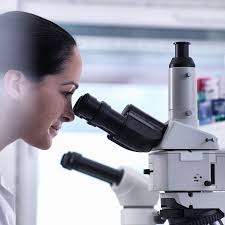 Giải pháp hiển vi 3D DRV-Z1 – Trải nghiệm hình ảnh nổi độ phân giải cao