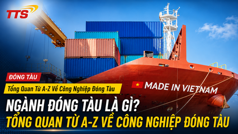 Ngành Đóng Tàu Là Gì? Tổng Quan Từ A-Z Về Công Nghiệp Đóng Tàu