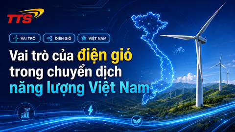 Vai trò của điện gió trong chuyển dịch năng lượng Việt Nam