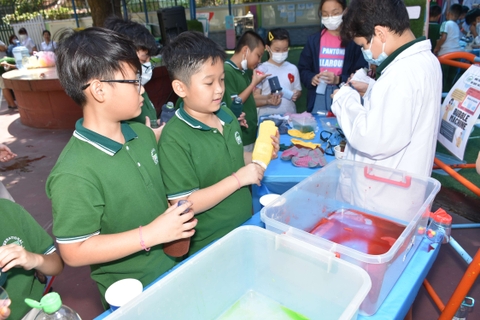 Science Day 2020