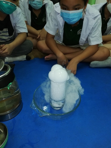 Science Day 2022