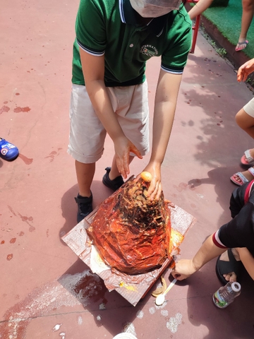Science Day 2022