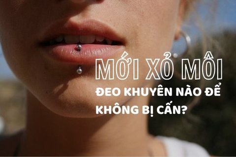 Mới xỏ môi đeo khuyên nào để không bị cấn?