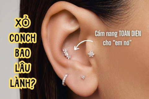 Lỗ xỏ Conch bao lâu lành? Cẩm nang TOÀN DIỆN về 