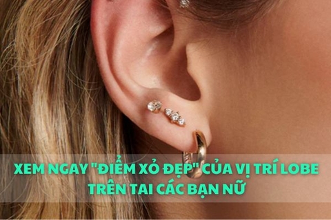 Xem ngay 
