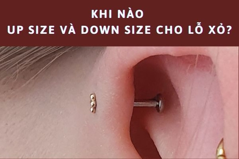 Khi nào up size khuyên và down size khuyên cho lỗ xỏ?