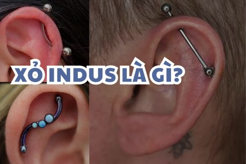 Xỏ Indus là gì? Vị trí này phù hợp cho tất cả mọi người?