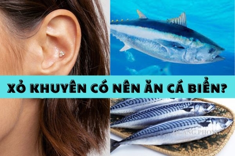 Xỏ khuyên ăn cá biển được không? Giải đáp chi tiết từ A-Z