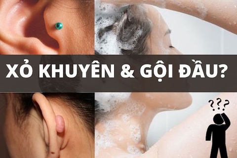 Xỏ khuyên có được gội đầu không & 3 lưu ý sau bấm lỗ tai, xỏ