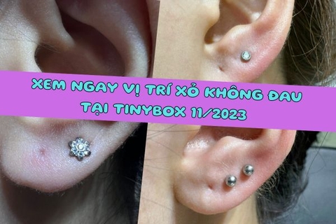 Siêu phẩm nữ xỏ khuyên tai cá tính 11/2023 tại shop TinyBox