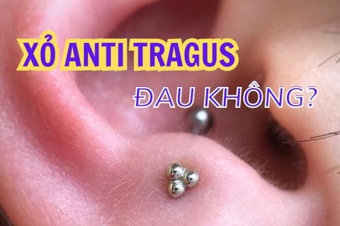 Xỏ khuyên vị trí Anti Tragus đau không? Mẹo giúp bạn tự tin