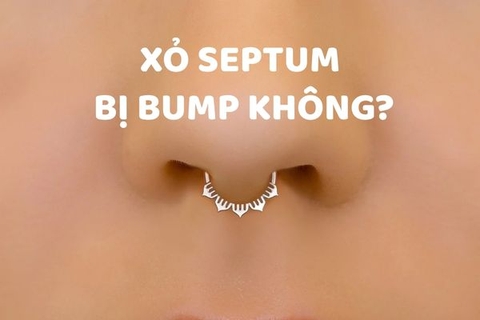 Xỏ Septum bị bump không? - Đơn vị xỏ khuyên uy tín ở TPHCM