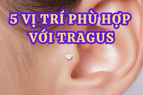 Xỏ Tragus mix với vị trí nào đẹp? Bật mí 5 vị trí cá tính