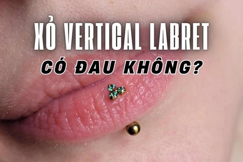 Xỏ vertical labret có đau không? Xỏ môi shop nào không đau?