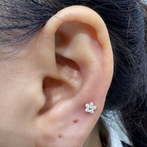 Khuyên Titan bông hoa 5 cánh lấp lánh