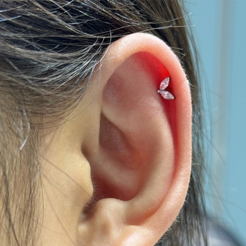 Khuyên Titanium hình đuôi cá 1.2*10mm - Có 4 màu