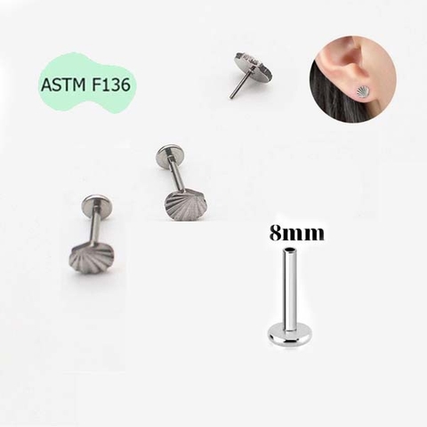 SCALLOP EARRING - TITANIUM