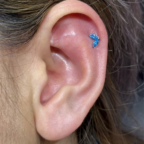 Khuyên Titanium hình đuôi cá 1.2*10mm - Có 4 màu