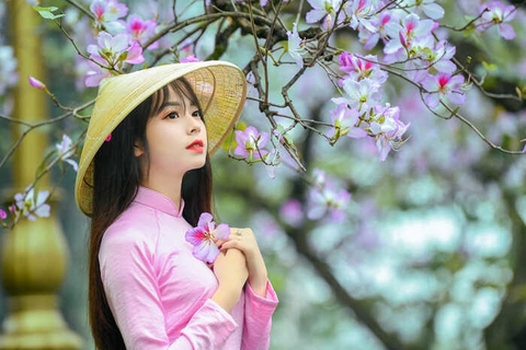 Hà Nội xao xuyến mùa hoa tháng 3