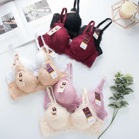 Áo lót ren không gọng [3311]