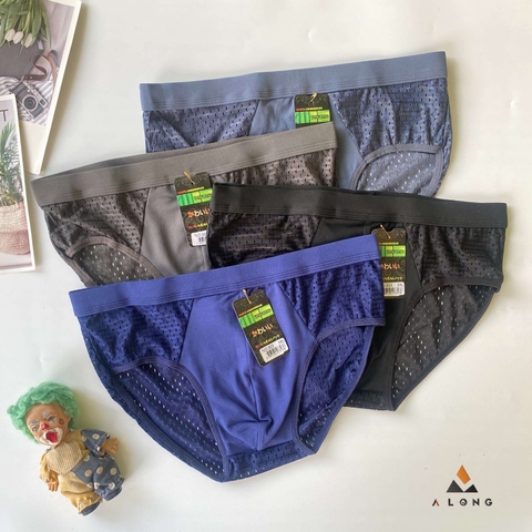 Quần thông hơi chéo [303]