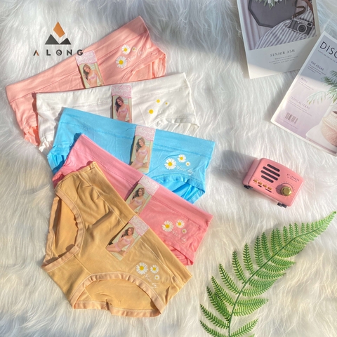 Quần lót nữ hoa cúc [1221]