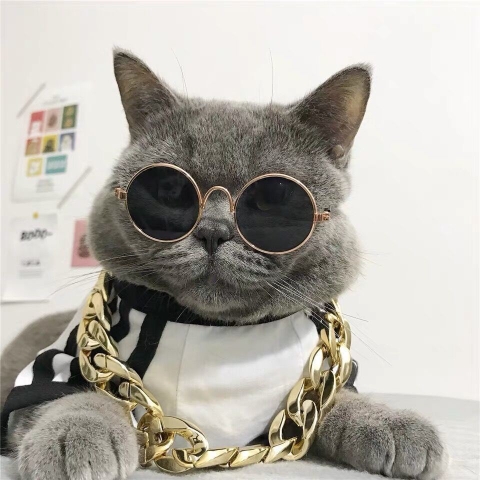 Vòng cổ dây xích màu vàng size L