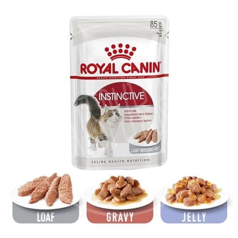 Pate Royal Canin -Gói 85Gr Cho Mèo Trưởng Thành