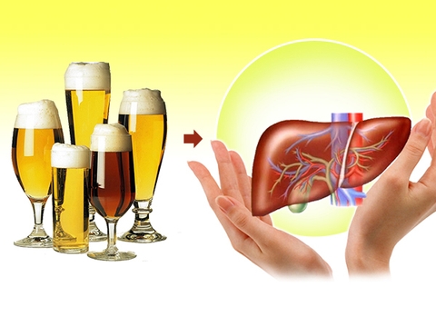 Cách bảo vệ gan khỏi tác hại của bia rượu đơn giản và hiệu quả