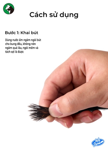 Bút thư pháp Maries