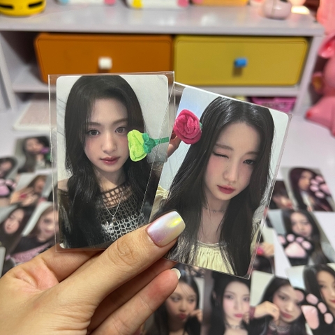 Photocard BABYMONSTER Rose Day - Set hoa