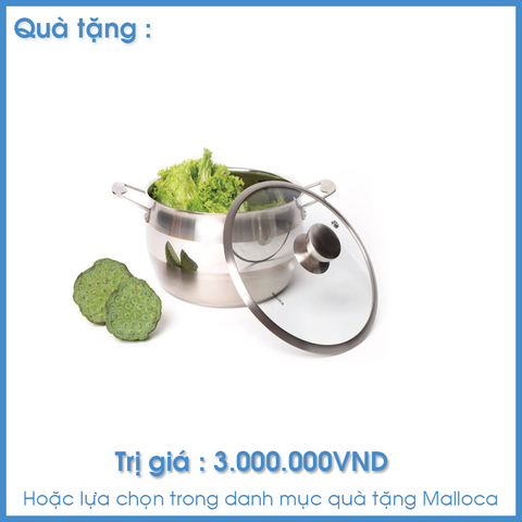 Máy Hút Mùi Áp Tường Malloca MC 60GTC
