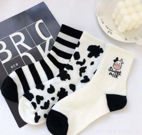 SET 5 ĐÔI TẤT BÒ SỮA CỔ CAO