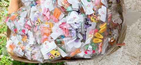 TÚI 2 KẸP MÁI BẦU ĐÍNH CHARM (1)