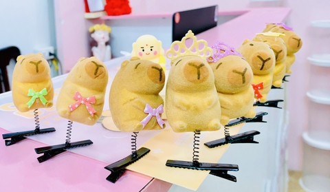 COMBO 10 CÁI - KẸP MÁI LÒ XO CAPYBARA