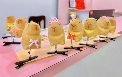 COMBO 10 CÁI - KẸP MÁI LÒ XO CAPYBARA