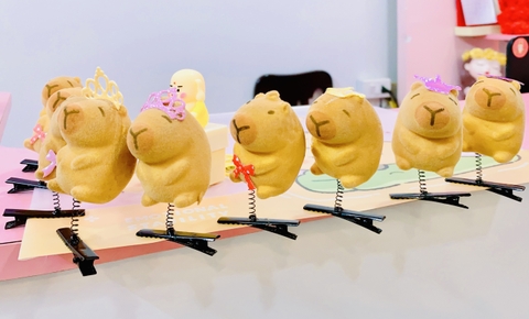 COMBO 10 CÁI - KẸP MÁI LÒ XO CAPYBARA