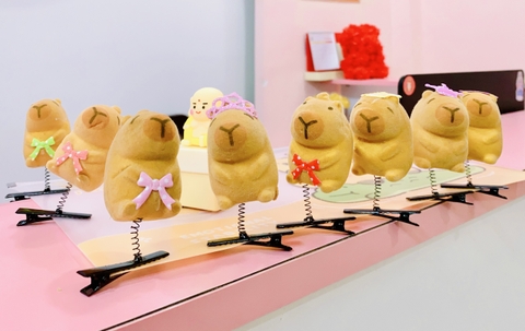 COMBO 10 CÁI - KẸP MÁI LÒ XO CAPYBARA