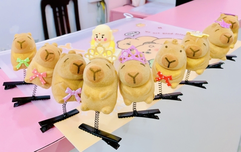 COMBO 10 CÁI - KẸP MÁI LÒ XO CAPYBARA