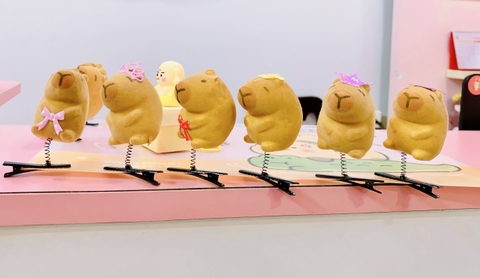 COMBO 10 CÁI - KẸP MÁI LÒ XO CAPYBARA