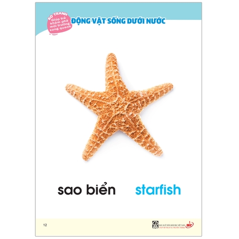 Bộ tranh giúp trẻ khám phá môi trường xung quanh – Động vật sống dưới nước (song ngữ Việt – Anh)