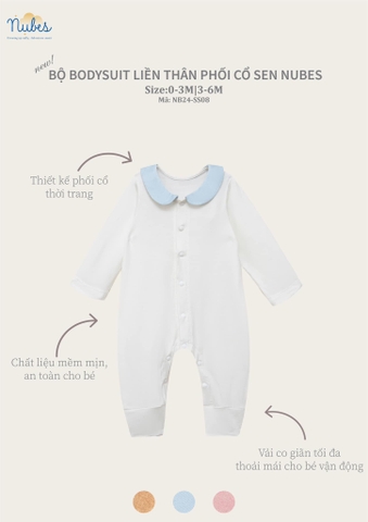Body Cổ Sen Phối Màu Pastel