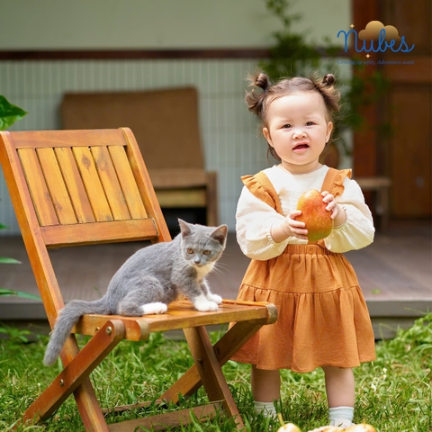 Áo Tay Bồng Chớm Thu