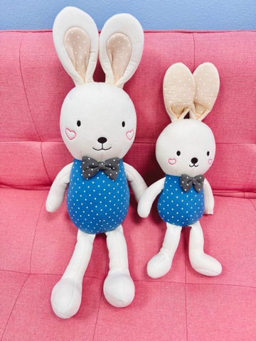 BB.0152 Thỏ xanh nam nhỏ 45cm Bebelaon