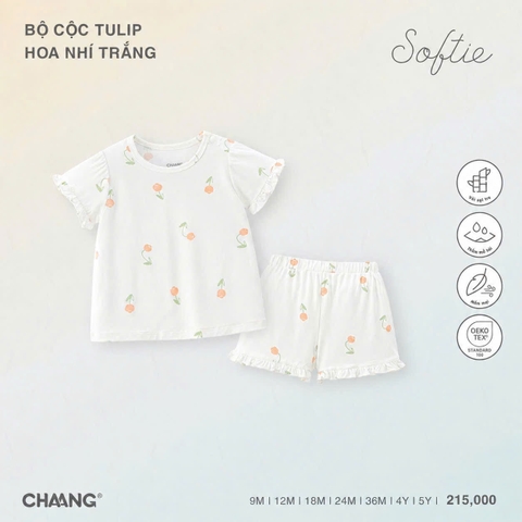 Bộ cộc Tulip K2GS0526OP