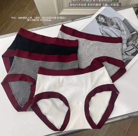 Quần chip cotton C91